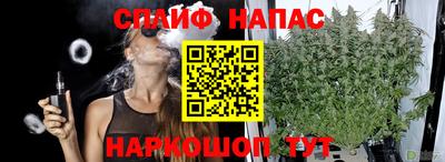 шишки Ачхой-Мартан