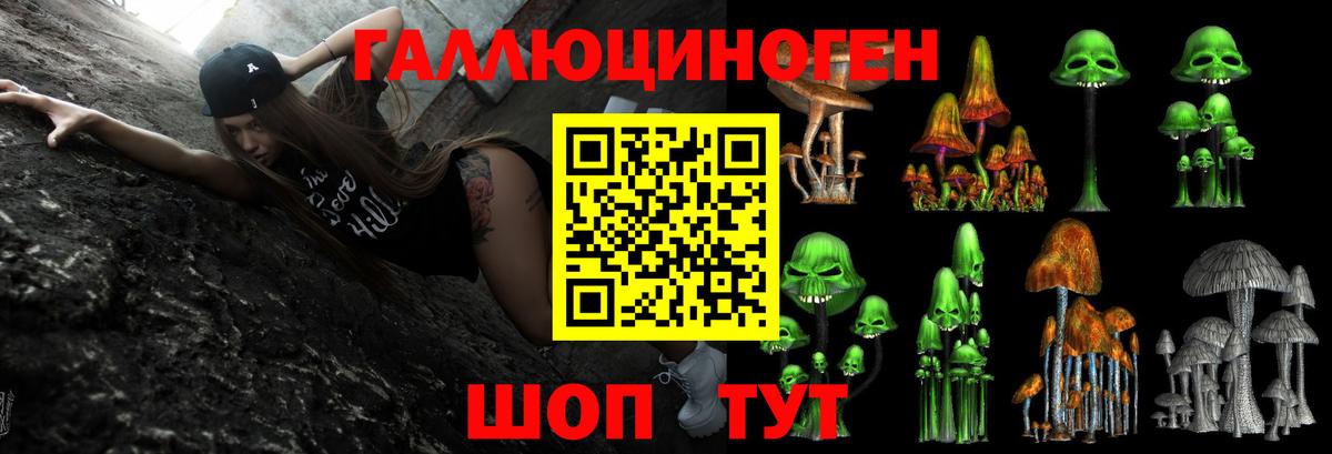 Галлюциногенные грибы прущие грибы Богородицк